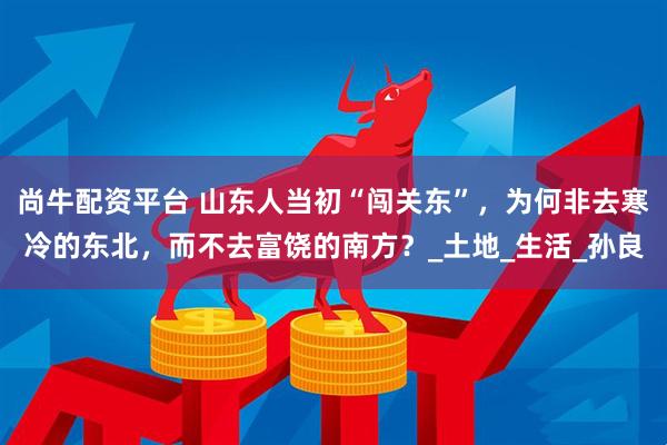 尚牛配资平台 山东人当初“闯关东”，为何非去寒冷的东北，而不去富饶的南方？_土地_生活_孙良