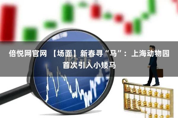 倍悦网官网 【场面】新春寻“马”：上海动物园首次引入小矮马