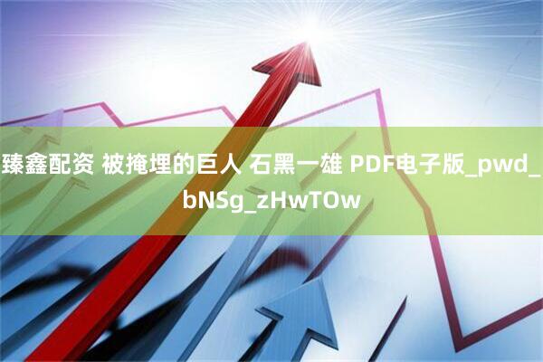 臻鑫配资 被掩埋的巨人 石黑一雄 PDF电子版_pwd_bNSg_zHwTOw