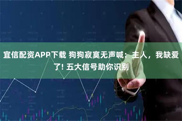 宜信配资APP下载 狗狗寂寞无声喊：主人，我缺爱了! 五大信号助你识别