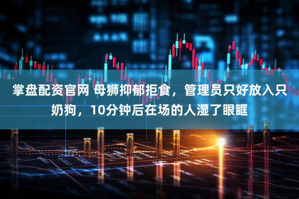 掌盘配资官网 母狮抑郁拒食，管理员只好放入只奶狗，10分钟后在场的人湿了眼眶